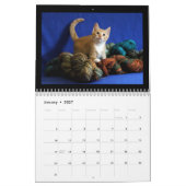 Calendrier 2018 de chaton (Jan 2027)