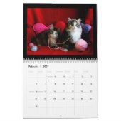 Calendrier 2018 de chaton (Feb 2027)