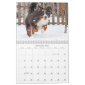 Calendrier 2018 de chien de montagne de Bernese (Jan 2027)