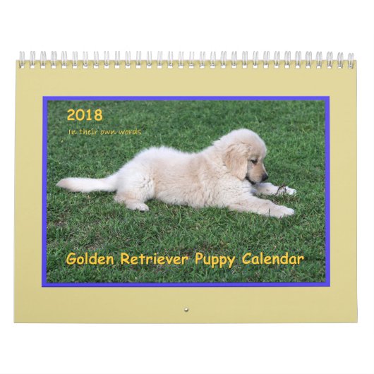 Calendrier 2018 de chiot de golden retriever (Protection)