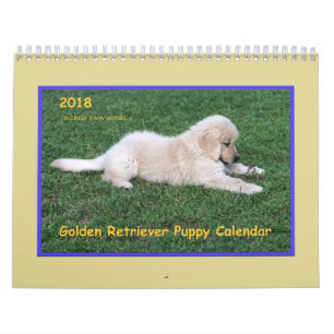 Calendrier 2018 de chiot de golden retriever