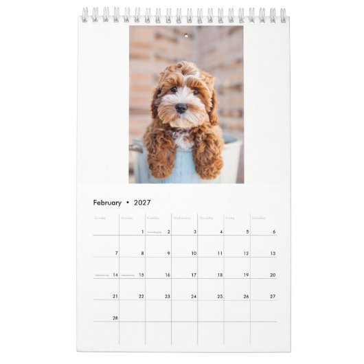 Calendrier 2018 de Cockapoo (Feb 2027)