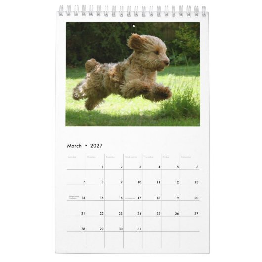 Calendrier 2018 de Cockapoo (Mar 2027)