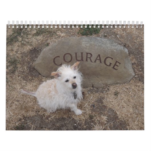 Calendrier 2018 de Gwendolyn (Protection)