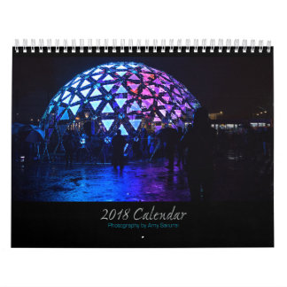 Calendrier 2018 de la photo d'Amy 3