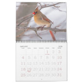 Calendrier 2018 de la photographie d'oiseau (Jan 2026)