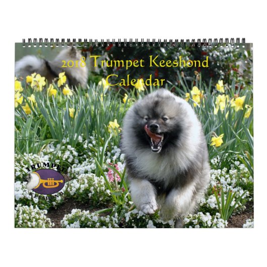 Calendrier 2018 de la trompette (Protection)