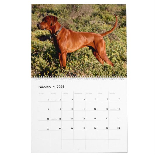 Calendrier 2018 de Liondog - de Rhodesian (Feb 2026)