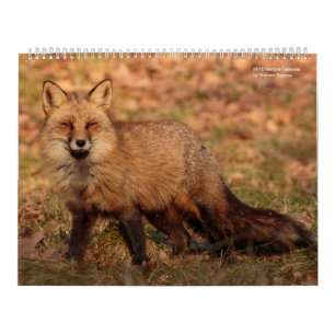 Calendrier 2018 de nature