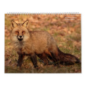 Calendrier 2018 de nature (Protection)