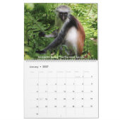 Calendrier 2018 de photos de faune (Jan 2027)