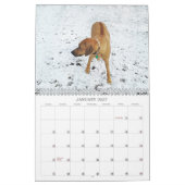 Calendrier 2018 de Rhodesian Ridgeback (Jan 2027)