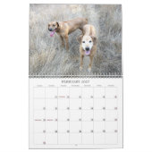 Calendrier 2018 de Rhodesian Ridgeback (Feb 2027)