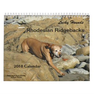 Calendrier 2018 de Rhodesian Ridgeback