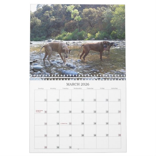 Calendrier 2018 de Rhodesian Ridgeback (Mar 2026)
