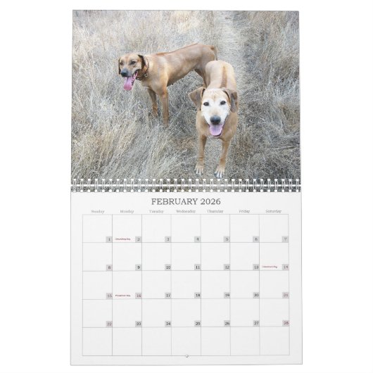 Calendrier 2018 de Rhodesian Ridgeback (Feb 2026)