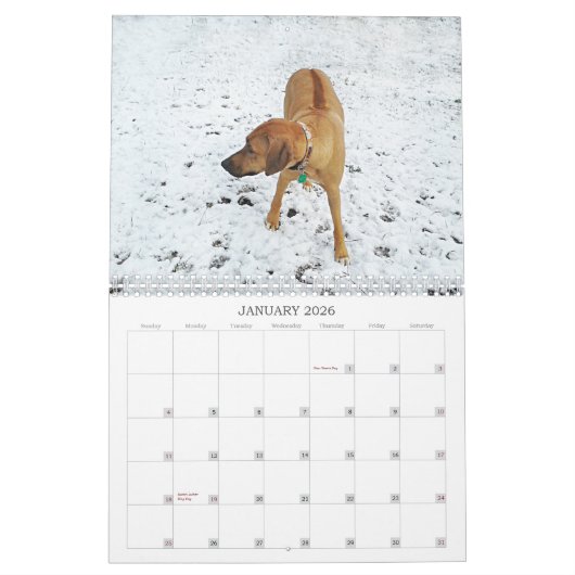Calendrier 2018 de Rhodesian Ridgeback (Jan 2026)
