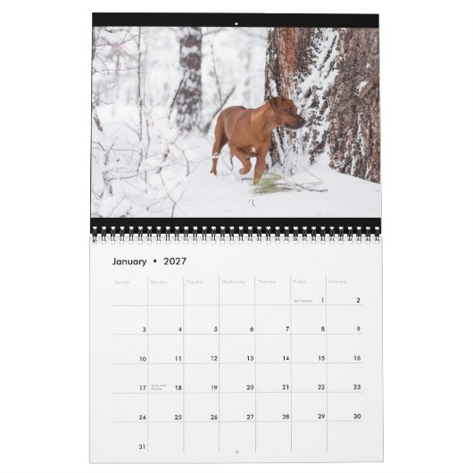 Calendrier 2018 de Rhodesian Ridgeback (Jan 2027)