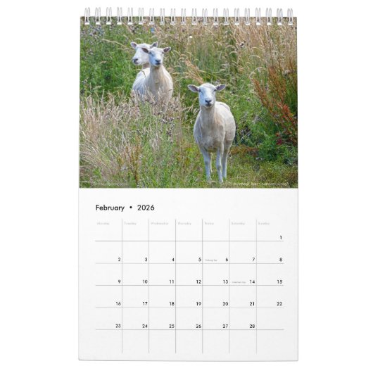 Calendrier 2018 d'Otago (Feb 2026)