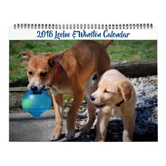 Calendrier 2018 Leeloo & Winston Grand 2 Page (Protection)