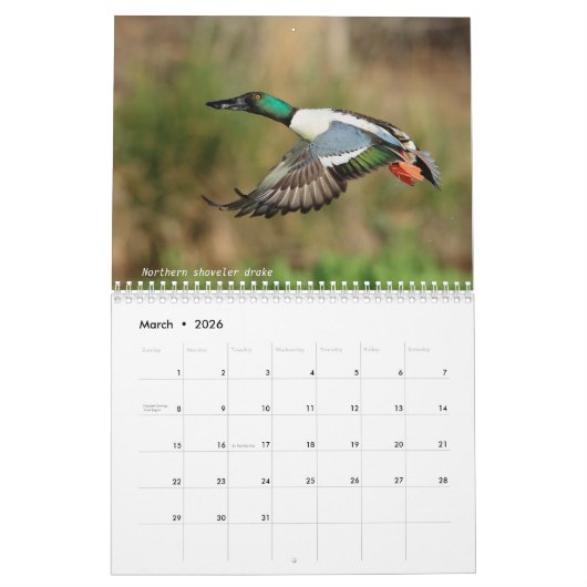 Calendrier - 2018 - milieu b (Mar 2026)