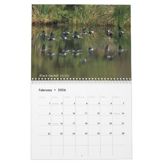 Calendrier - 2018 - milieu b (Feb 2026)