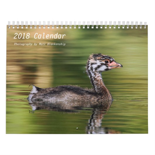 Calendrier - 2018 - milieu b (Protection)