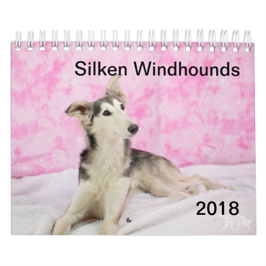 Calendrier 2018 Windhounds de soie (autre) (Protection)