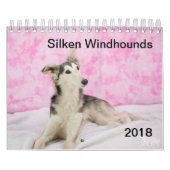 Calendrier 2018 Windhounds de soie (autre) (Protection)