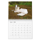 Calendrier 2018 Windhounds de soie (autre) (Mar 2026)