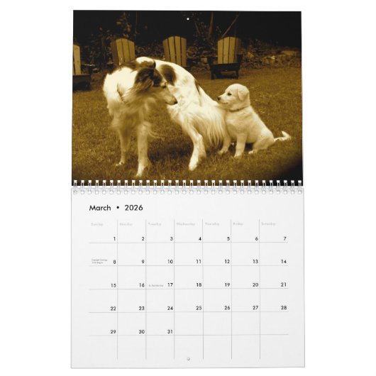 Calendrier 2018 Windhounds de soie (chiens multiples) (Mar 2026)