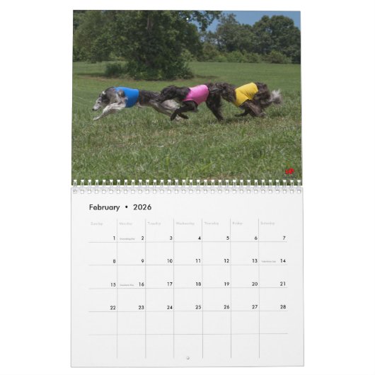 Calendrier 2018 Windhounds de soie (chiens multiples) (Feb 2026)