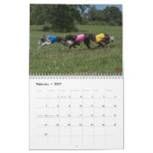 Calendrier 2018 Windhounds de soie (chiens multiples) (Feb 2027)