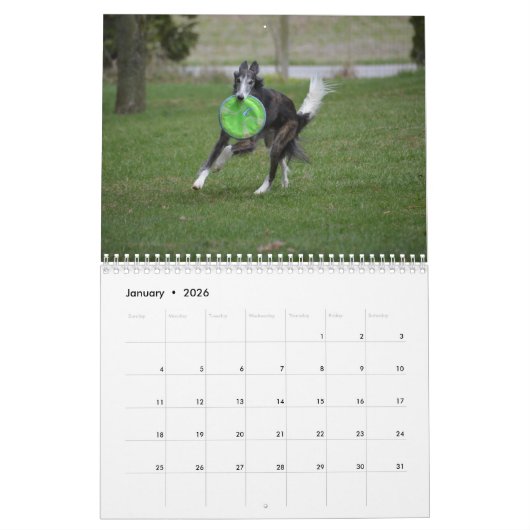 Calendrier 2018 Windhounds de soie (dans l'action) (Jan 2026)