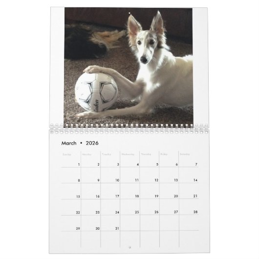 Calendrier 2018 Windhounds de soie (dans l'action) (Mar 2026)