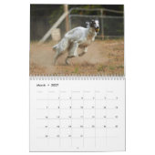 Calendrier 2018 Windhounds de soie (fonctionnement) 5 (Mar 2027)
