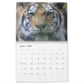 Calendrier 2019 (Mar 2027)