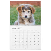 Calendrier 2019 animaux adorables de bébé (Jan 2027)
