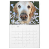 Calendrier 2019 avec ParkerPup, Reser et ouïe (Jan 2026)