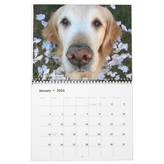 Calendrier 2019 avec ParkerPup, Reser et ouïe (Jan 2026)