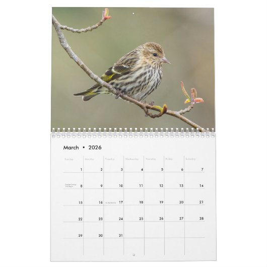 Calendrier 2019 calendrier, photographie par Steve (Mar 2026)