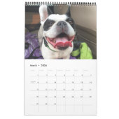 Calendrier 2019 de Bubba Louie (Mar 2026)