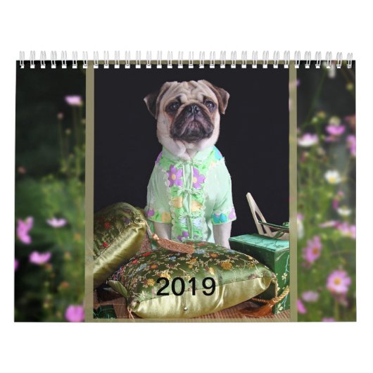 Calendrier 2019 de carlin (Protection)
