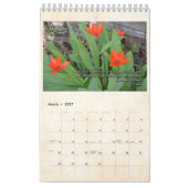 Calendrier 2019 de centre de zen de Cedar Rapids (Mar 2027)