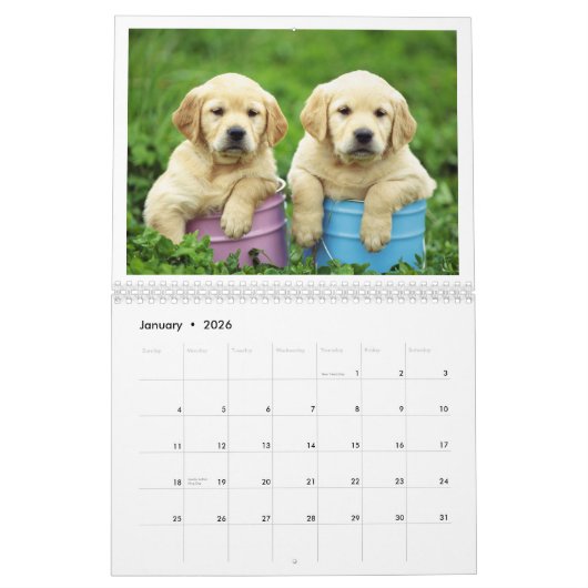 Calendrier 2019 de chiot (Jan 2026)