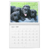 Calendrier 2019 de chiot (Mar 2027)