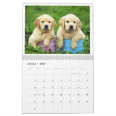 Calendrier 2019 de chiot (Jan 2027)