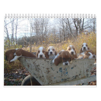 Calendrier 2019 de chiot de chien de basset