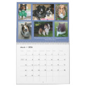 Calendrier 2019 de délivrance du Minnesota Sheltie (Mar 2026)