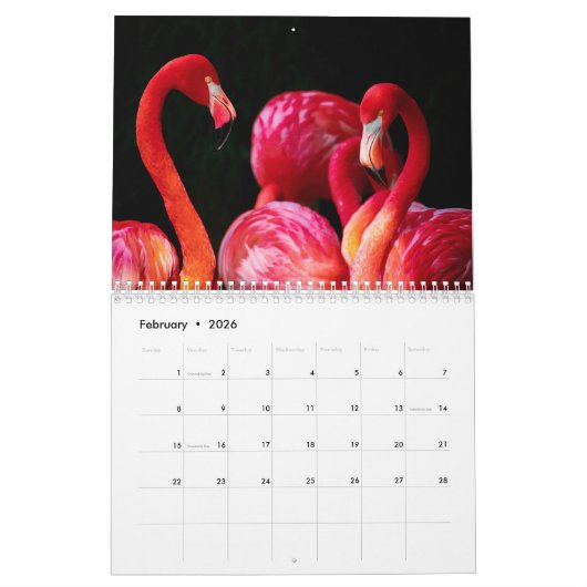 Calendrier 2019 de Flamant rose (Feb 2026)